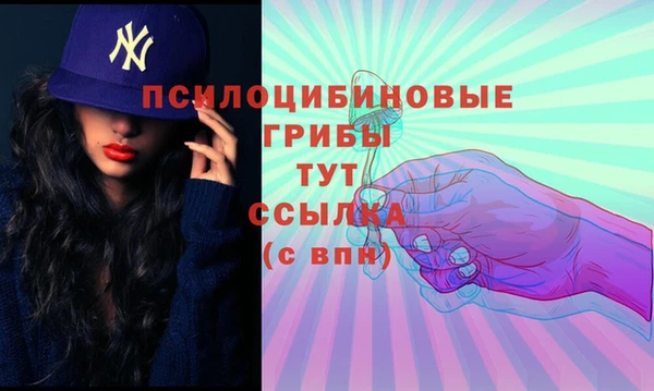 гидропоника Алексин
